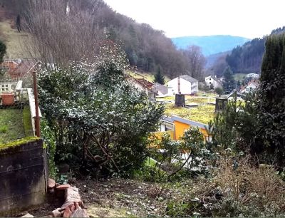 Appartement 4, Bild 2